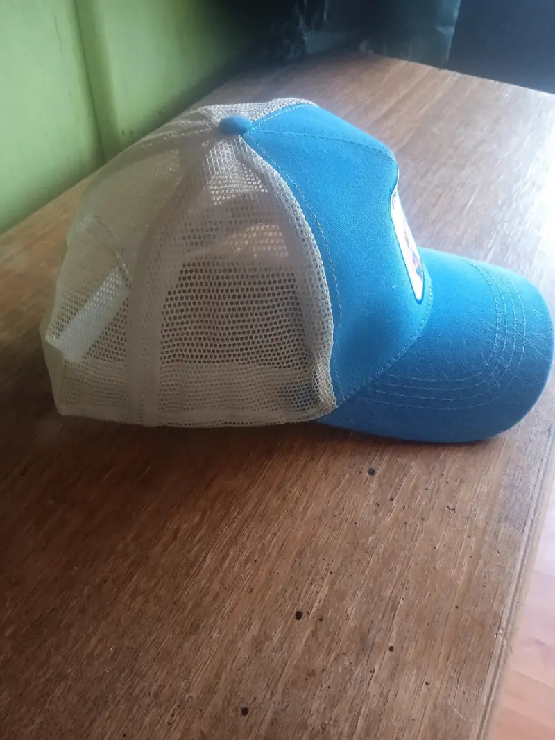 Jockey Champion Dog azul - 4