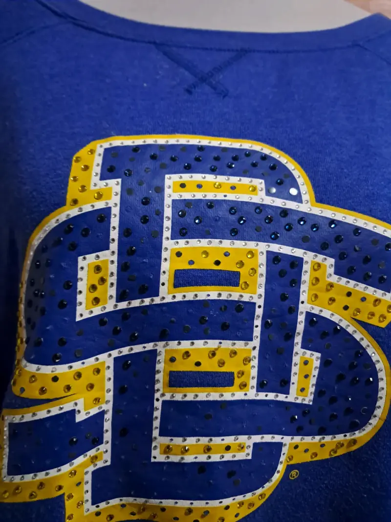 Polerón azul con diseño universitario - 2