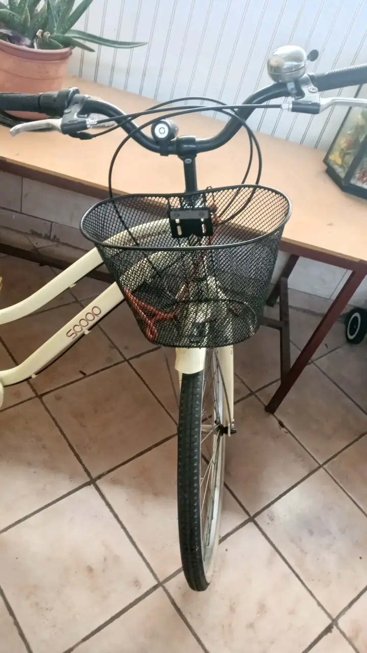 Bicicleta urbana beige con canasto - 1