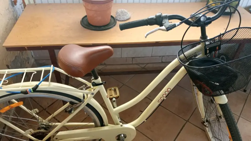 Bicicleta urbana beige con canasto - 3
