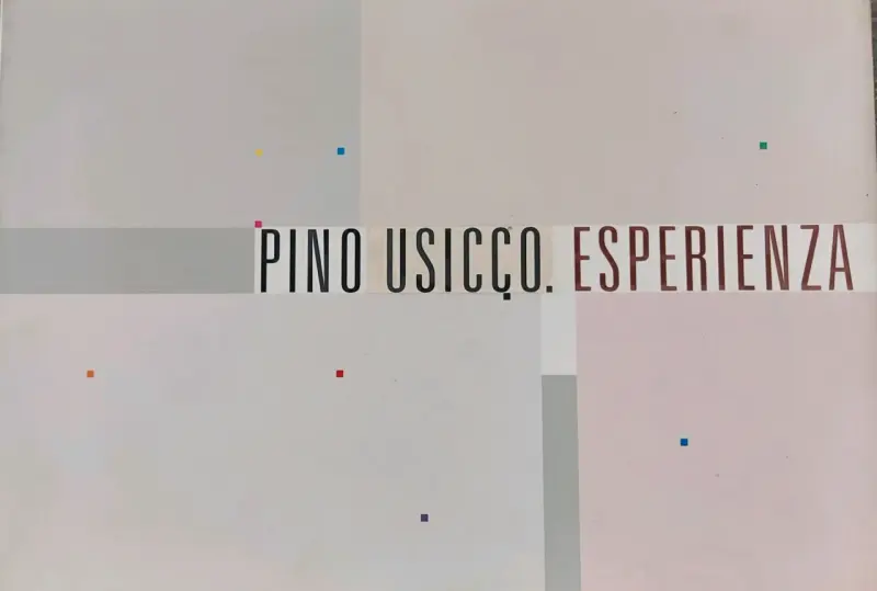 Libro USICCO Esperienza - 2