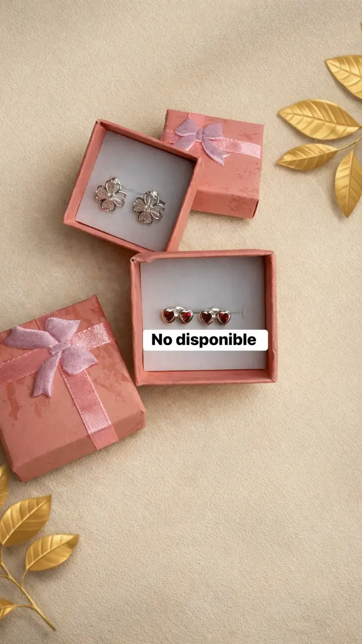 Aros brillantes en estuche - 2