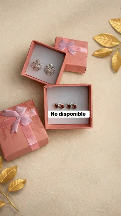Aros brillantes en estuche - miniatura 2