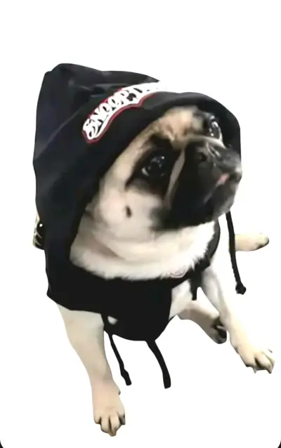 Sudadera c/Capucha mascotas, Snoop Doggie Doggs - miniatura 1