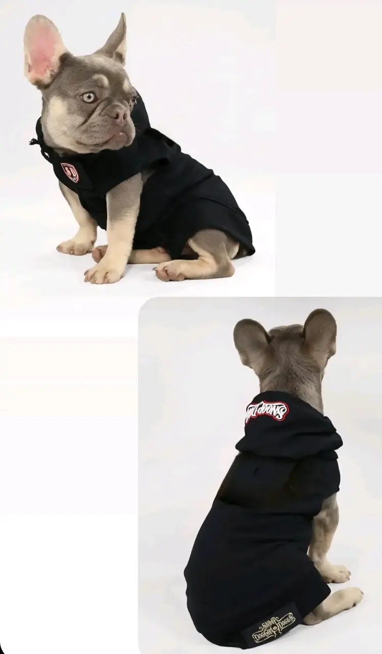 Sudadera c/Capucha mascotas, Snoop Doggie Doggs - 5