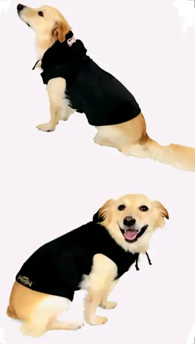 Sudadera c/Capucha mascotas, Snoop Doggie Doggs - miniatura 6