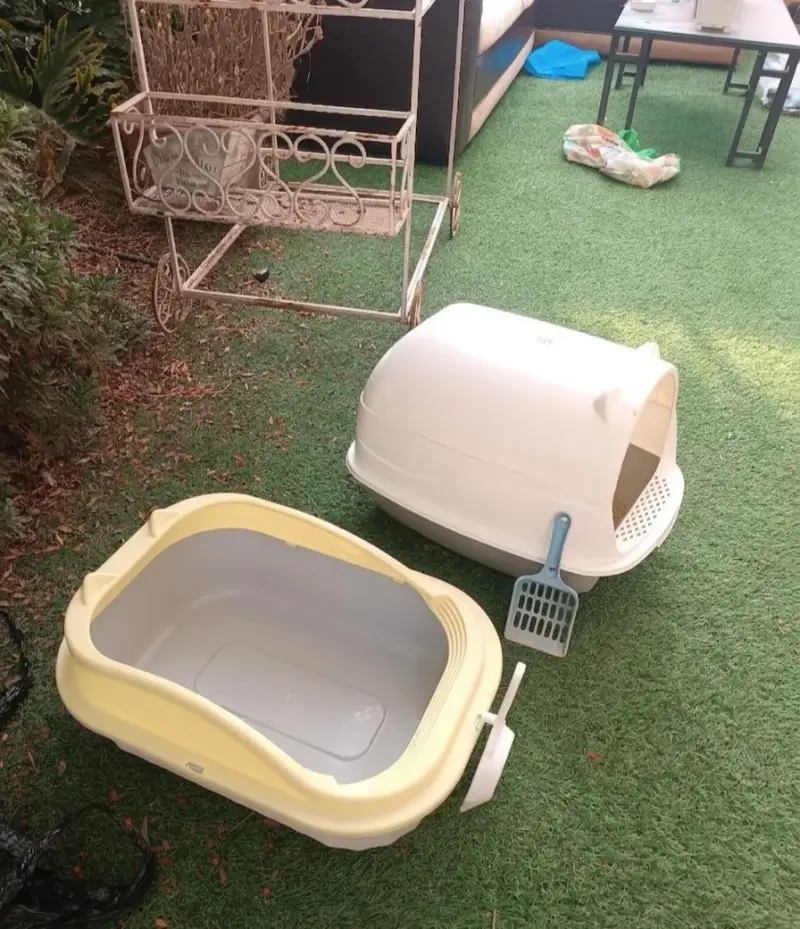 Caja de arena para gatos