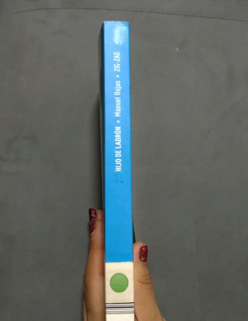 Libro 'Hijo de ladrón' de Manuel Rojas - 2