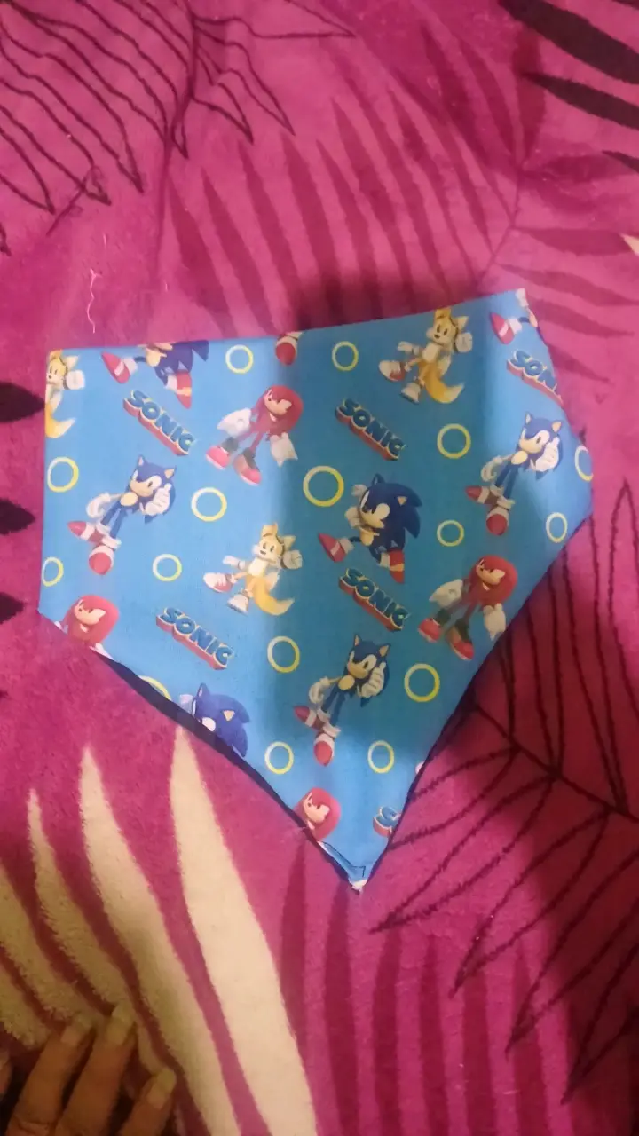 Pañuelo y coletero Minnie y Daisy - 2