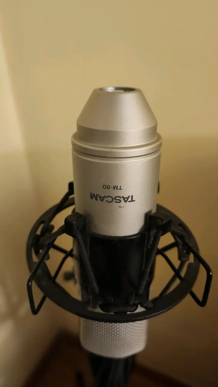 Micrófono Tascam TM-80 + cable + tripode - 1