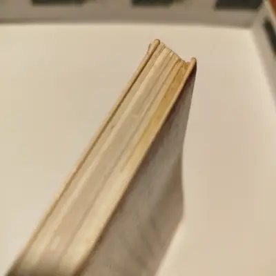 Libro 'Pandemia' de Gabriel León - miniatura 3