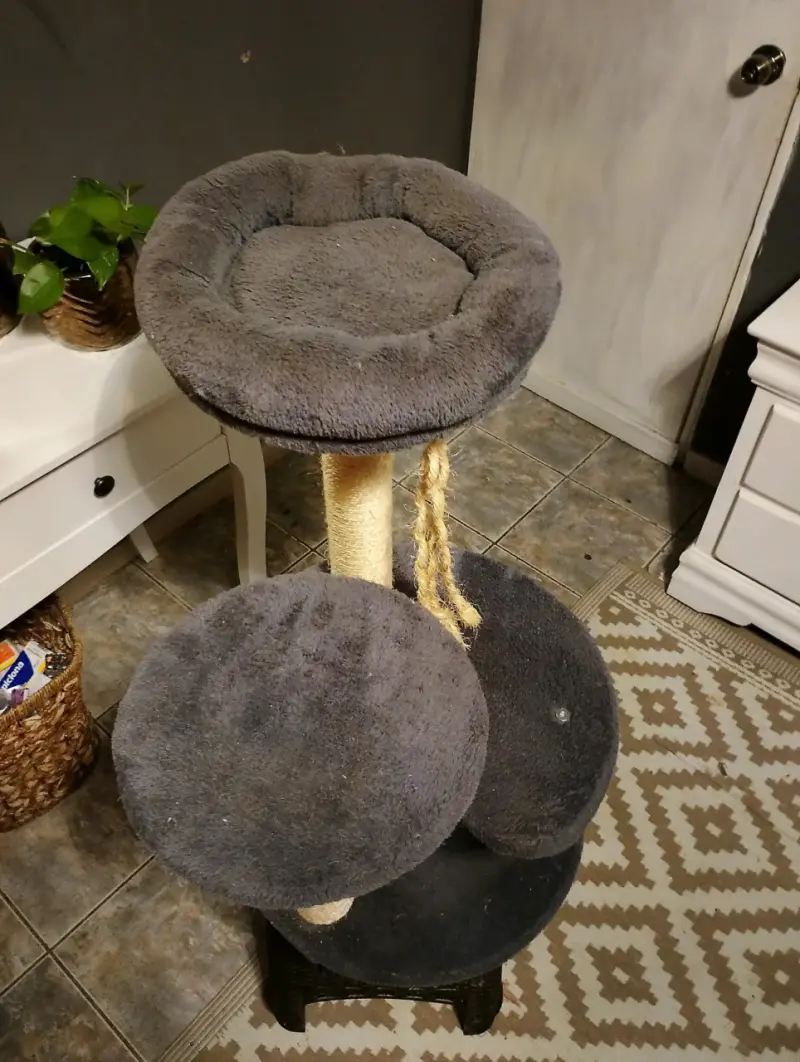 Rascador para gatos gris - 3