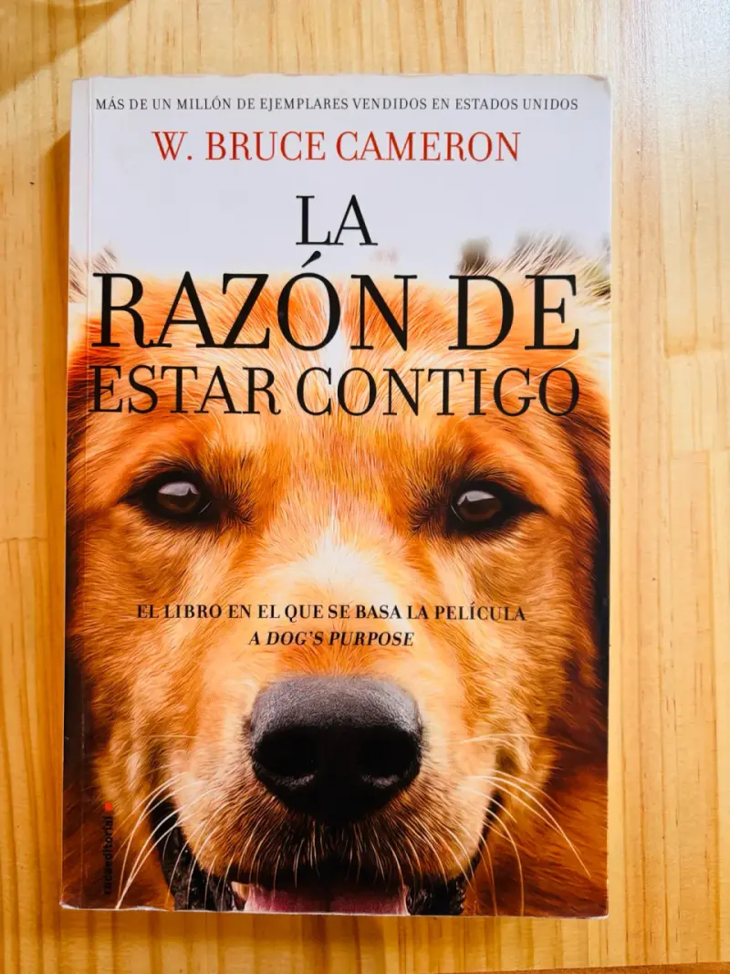 Libro La Razón de Estar Contigo