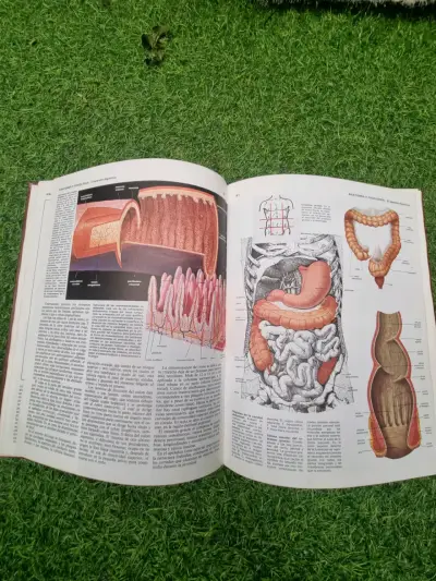 Enciclopedia de Ciencias Naturales - miniatura 2