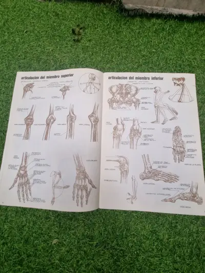 Libro Anatomía para Artistas - miniatura 2