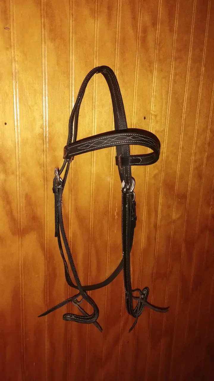 Cabezada de cuero tipo western para caballo - 1