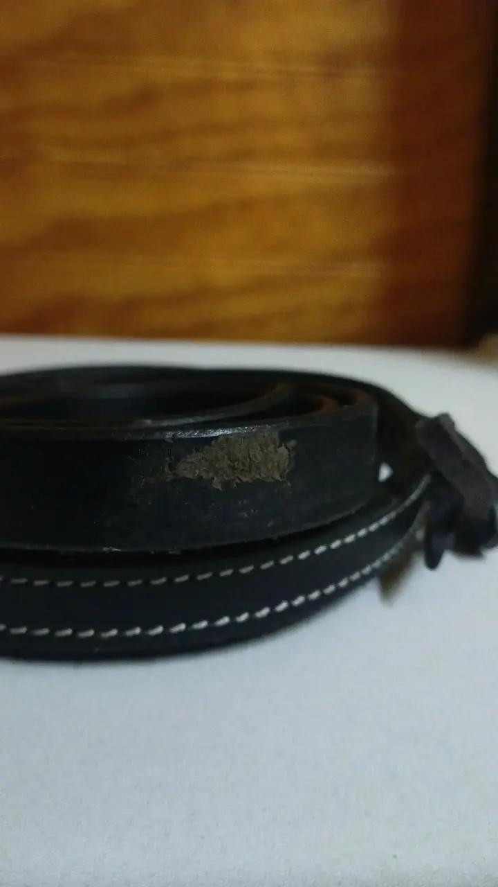 Cabezada de cuero tipo western para caballo - 4