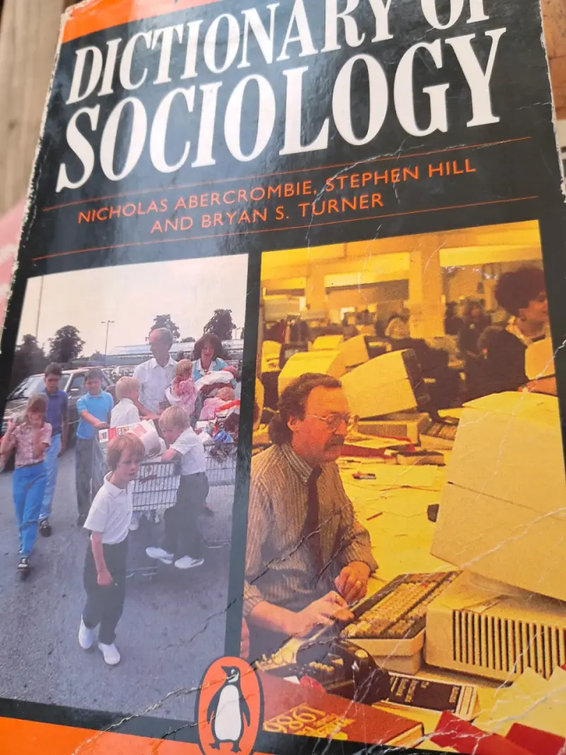Diccionario de Sociología usado