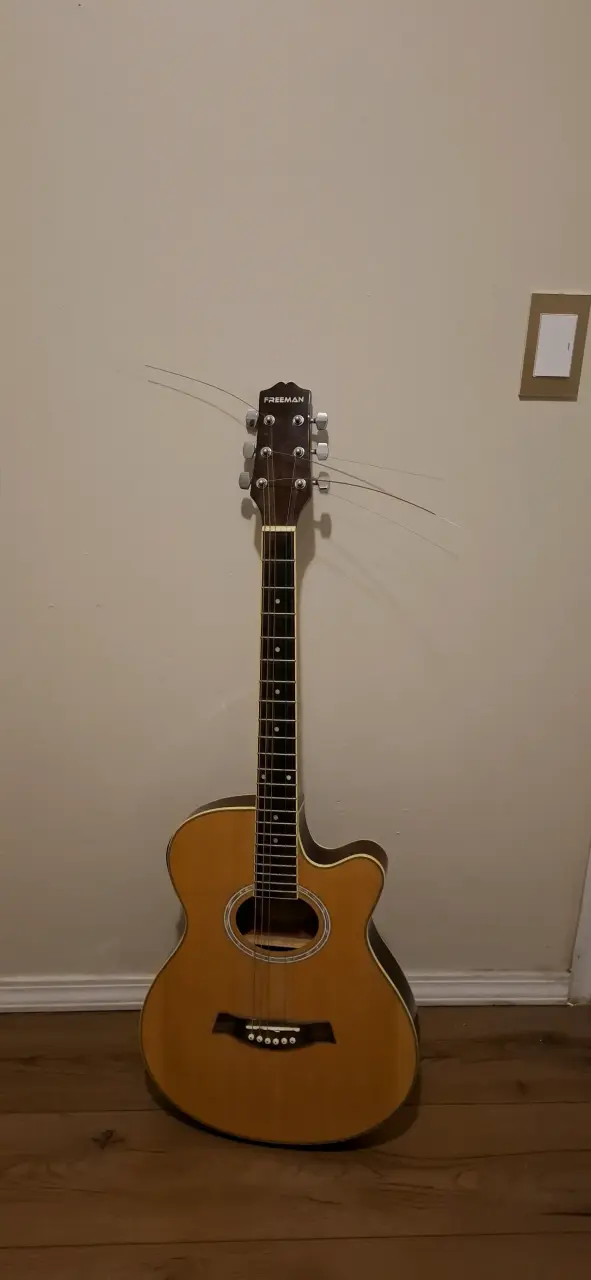 Guitarra acústica Freeman fra95scet con funda - 3