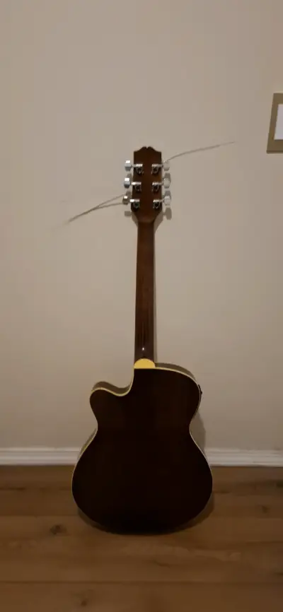 Guitarra acústica Freeman fra95scet con funda - miniatura 4