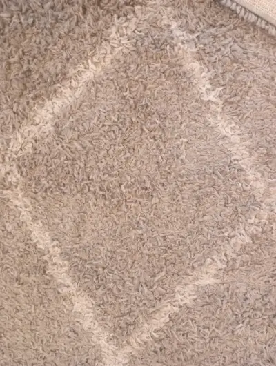 Alfombra grande gris claro estilo bohemio - miniatura 3