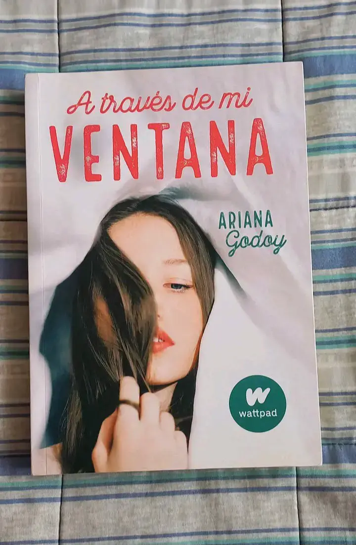 Libro A través de mi ventana