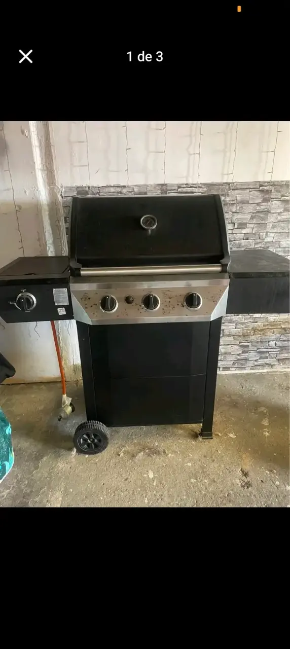 Parrilla a gas grande con ruedas