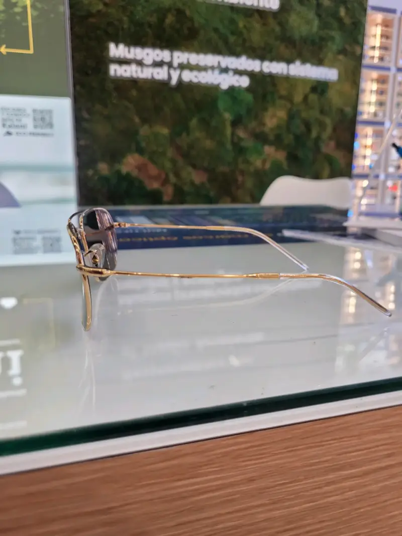 Ray-Ban Caravan Reverse RB R0102S - 3
