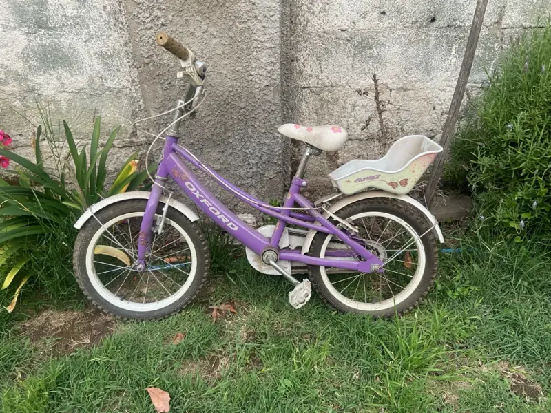 Bicicleta infantil morada Oxford y Fucsia Bianchi - 1
