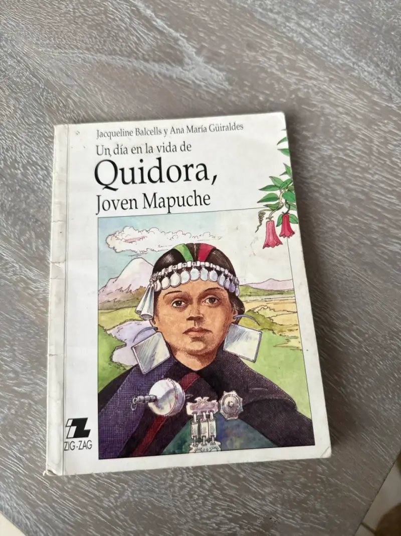 Libro Un día en la vida de Quidora