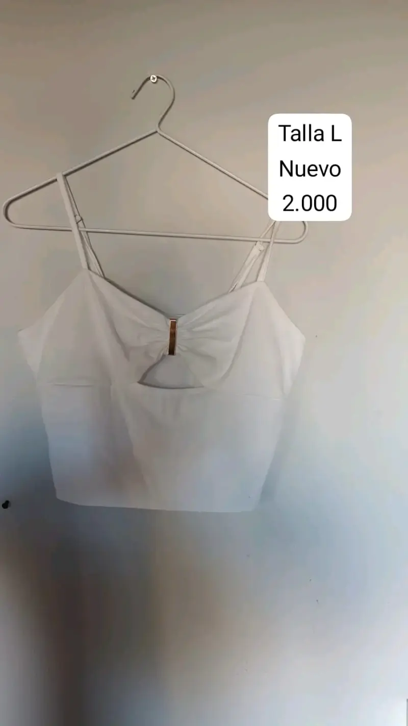 6 tops talla L - 1
