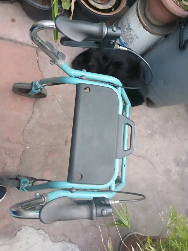 Andador plegable azul - 2