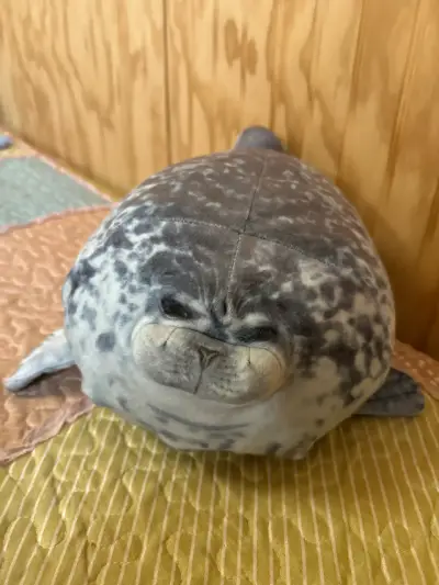 Peluche de foca - miniatura 1