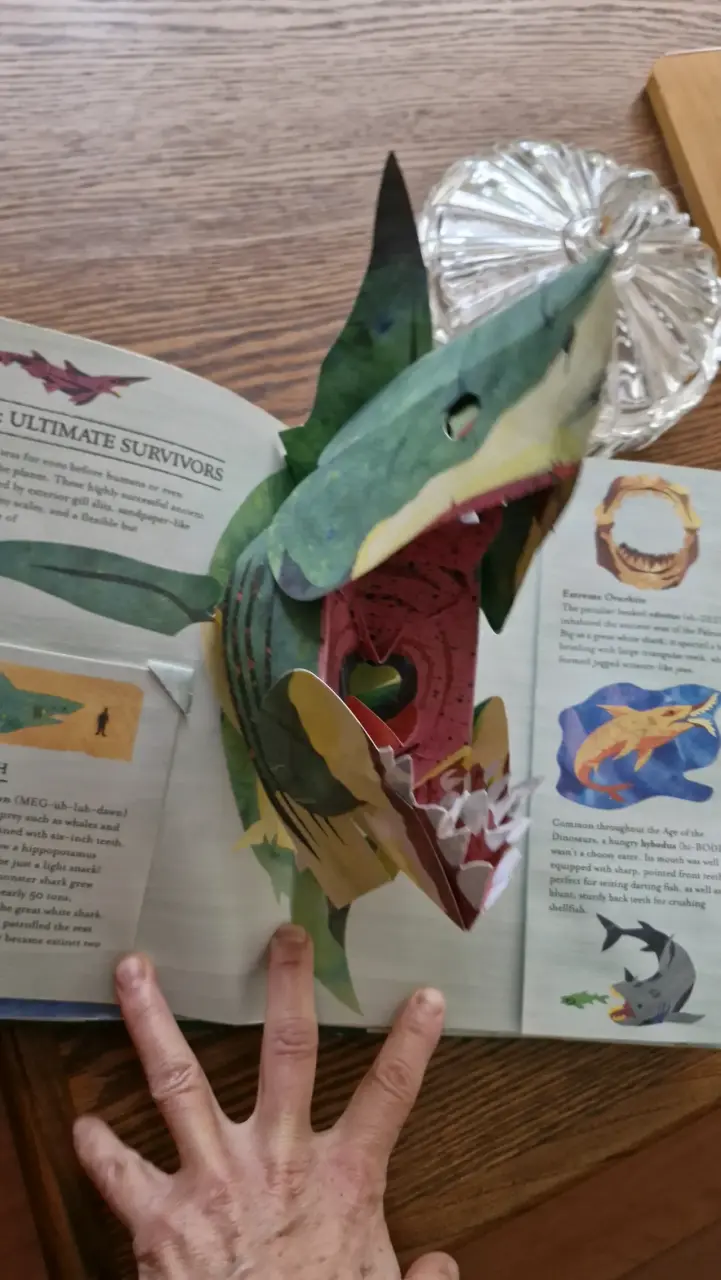 Libro Encyclopedia Prehistorica: Sharks - 3