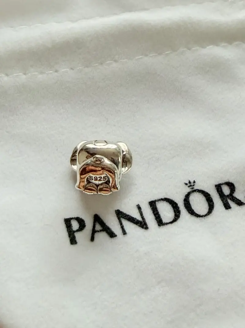 Charm Pandora stitch de plata 925 - 2