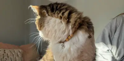 Collar gato macrame  con cuentas de madera - miniatura 2