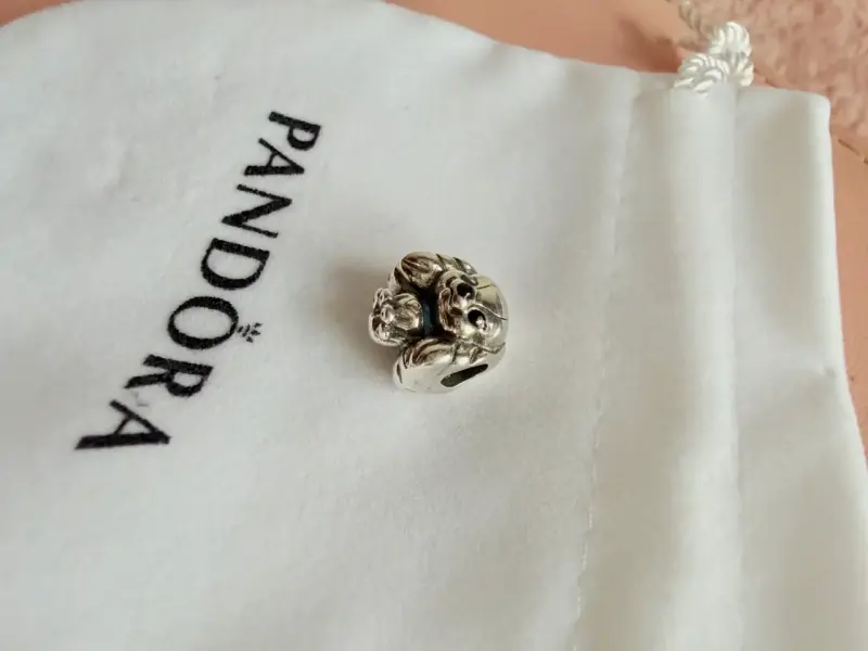 Charm dama y el vagabundo Disney plata 925 - 2