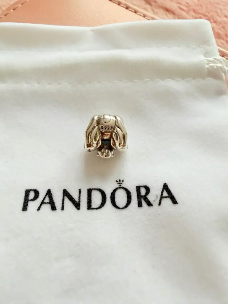 Charm dama y el vagabundo Disney plata 925 - 4