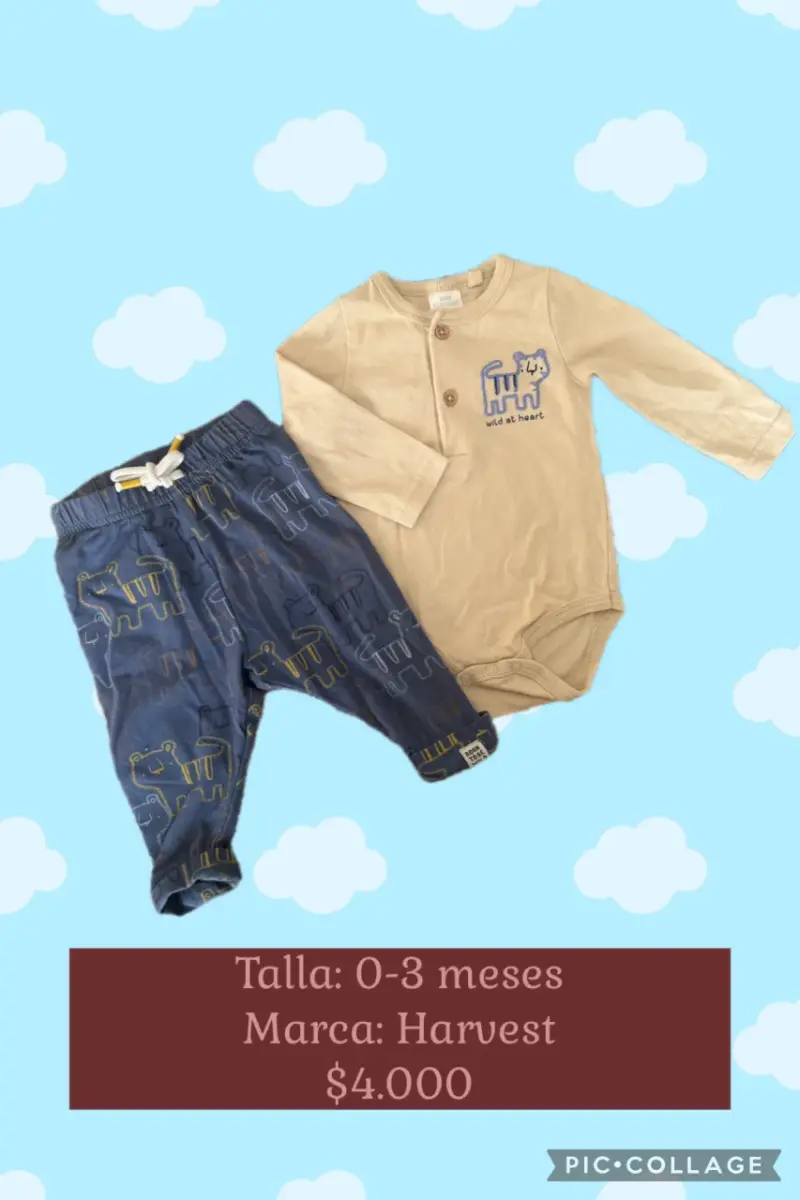 Conjunto bebé 0-3 meses Harvest