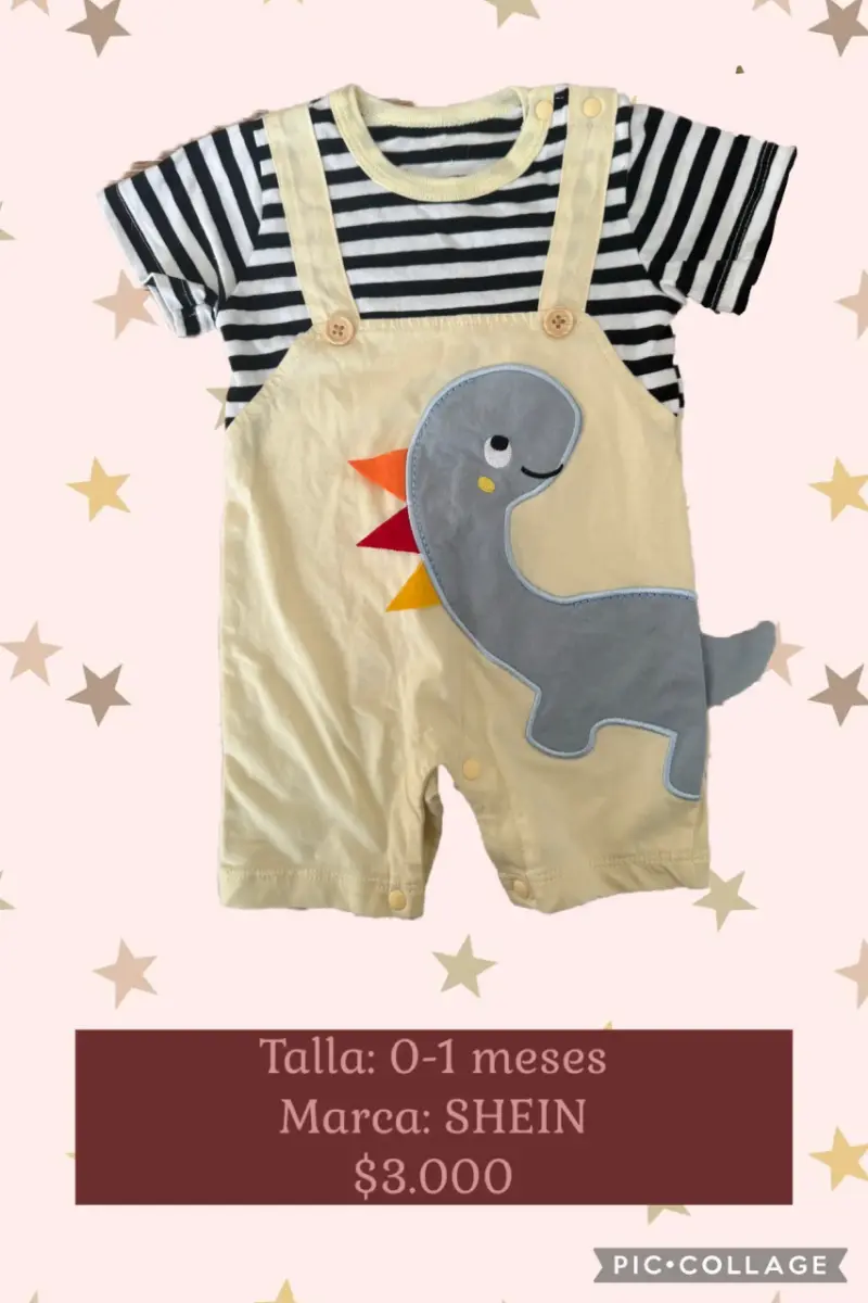 Enterito bebé dinosaurio Shein
