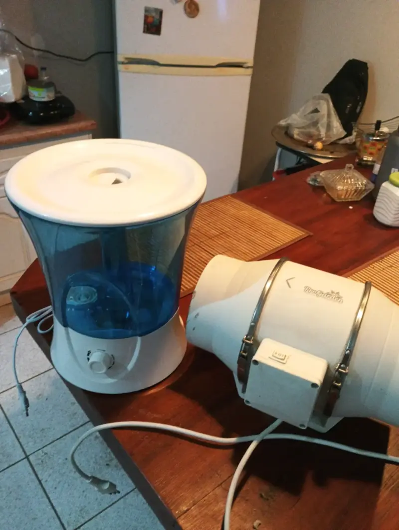 Humidificador portátil con purificador - 6
