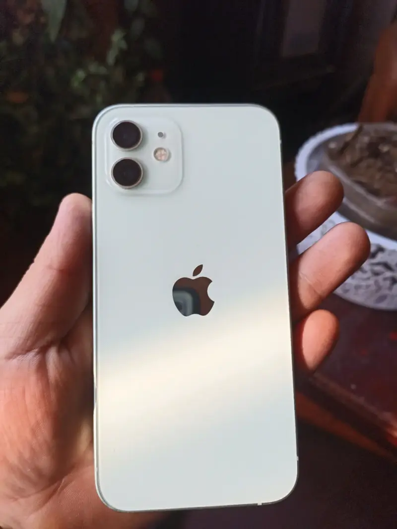 iPhone 12 verde en buen estado - 1