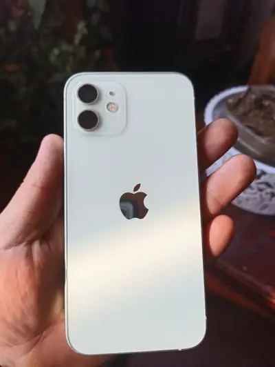 iPhone 12 verde  en buen estado - miniatura 1