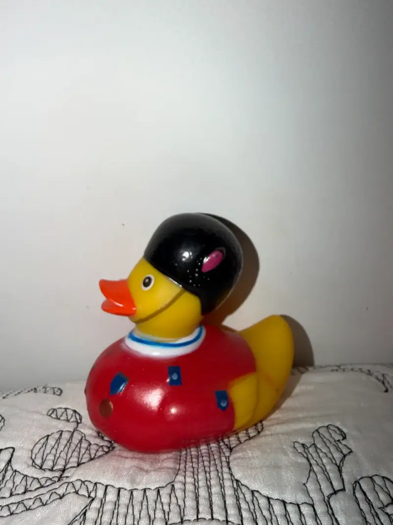 Pato de ule de guardia real - 1