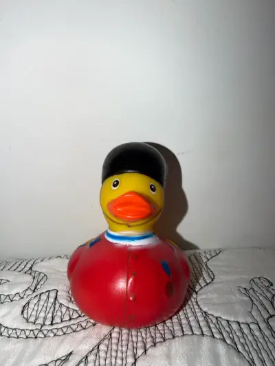 Pato de ule de guardia real - miniatura 2