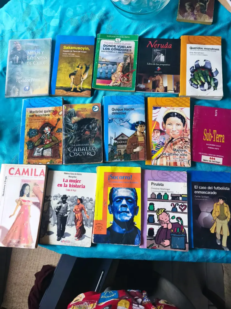 Lote de libros variados
