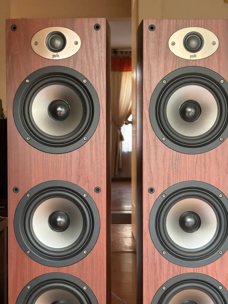 Parlantes de piso Polk Audio - 2
