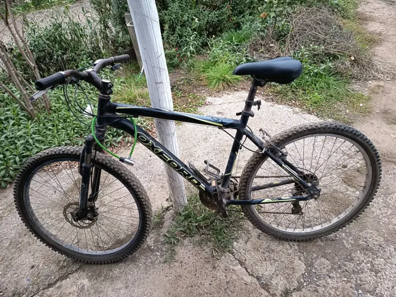 Bicicleta de montaña Oxford negra - 2