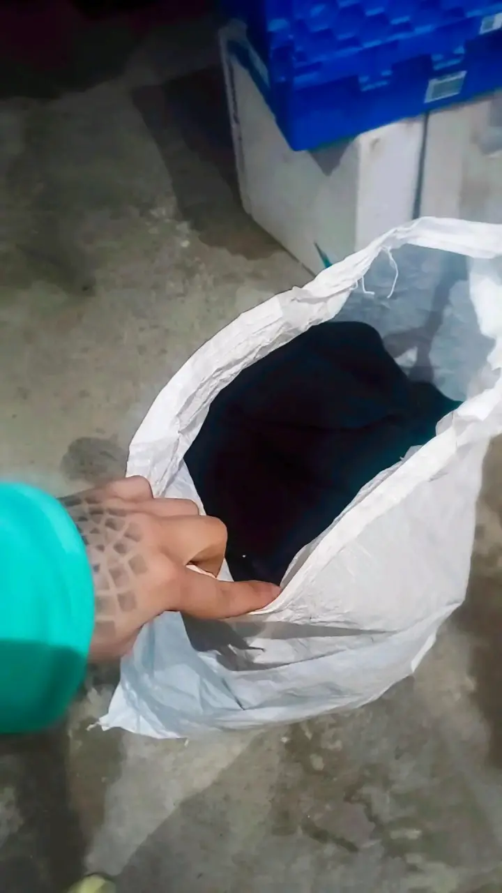 Lotex20 - 1