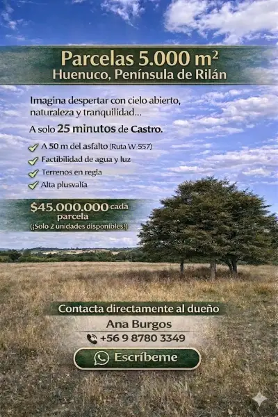 Parcelas 5000 m² en Huenuco - miniatura 1
